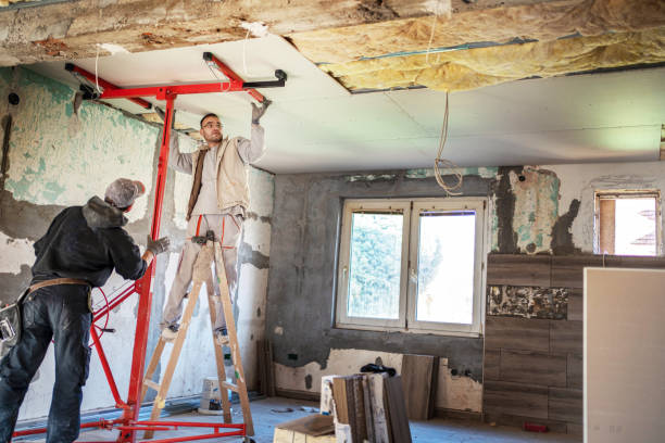 Best Eco-Friendly or Green Insulation Solutions  in Cohoes, NY