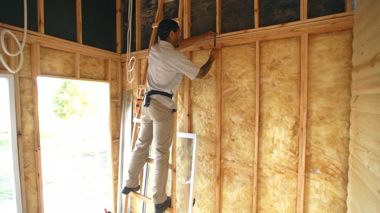 Best Blown-In Insulation  in Cohoes, NY