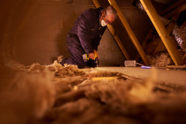 Best Attic Insulation Installation  in Cohoes, NY